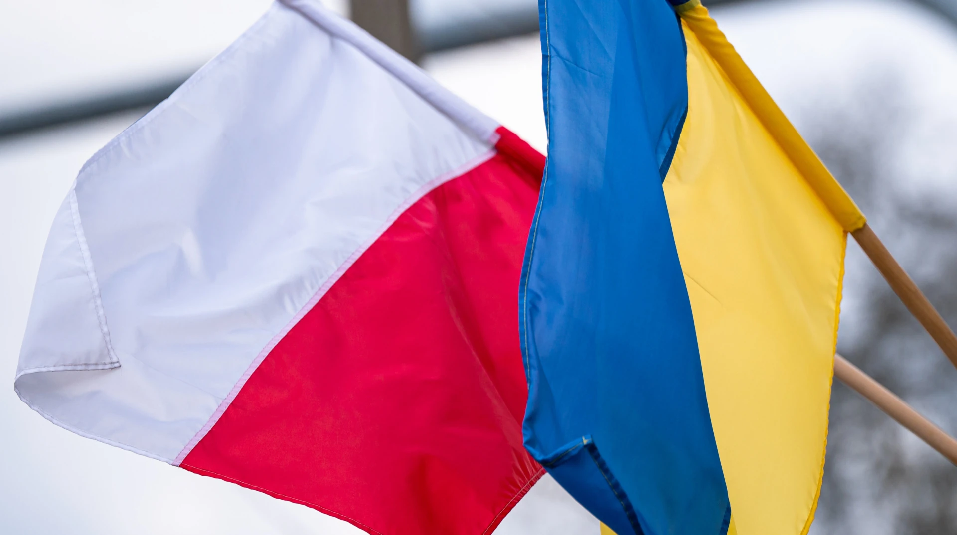 Хронологія ексгумаційних досліджень на Голосківському кладовищі у Львові