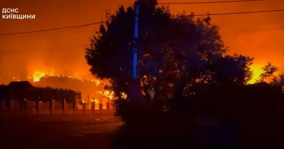 ДБР оголосило підозру посадовцю СБУ через незаконний склад у Милі