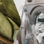 Лавровий лист у тканинному мішечку поряд з барабаном пральної машини